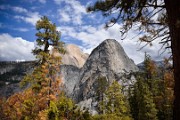Yosemite National Park (5)