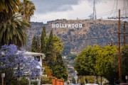 Hollywood (3)